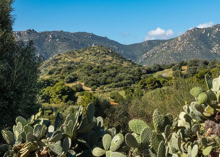 度假居 Campulongu 维拉西米乌斯